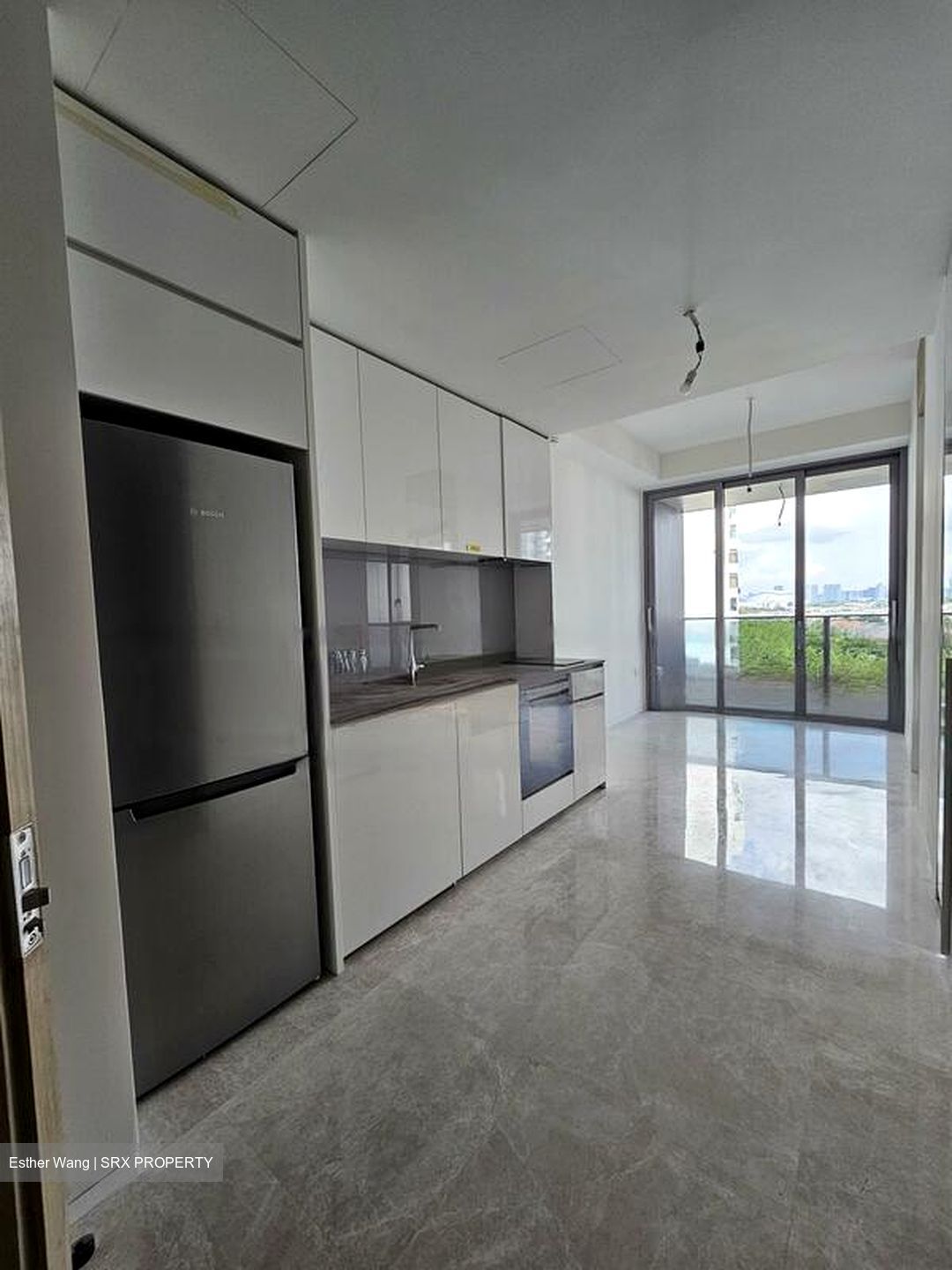 Amber Park (D15), Condominium #470407871